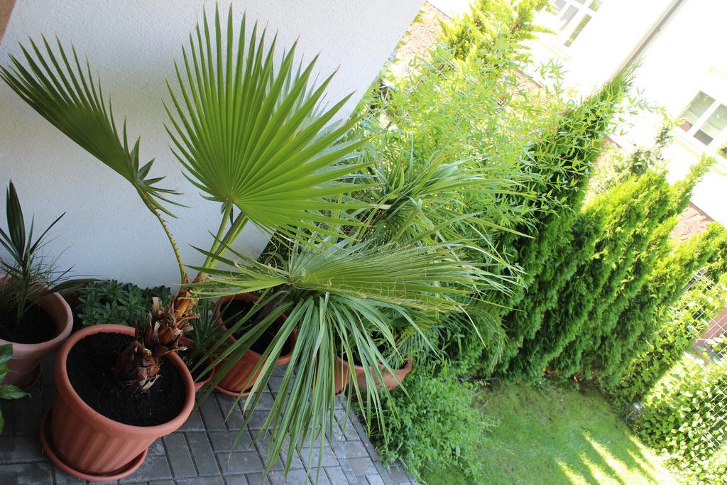 Bamboo Wellness Apartment Siófok Exterior foto